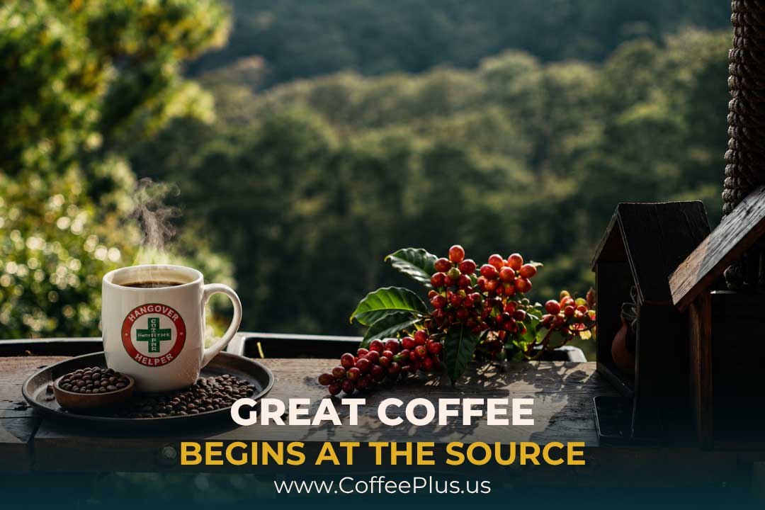 What Makes Sulawesi Coffee So Special? - The Origin Behind Every Cup