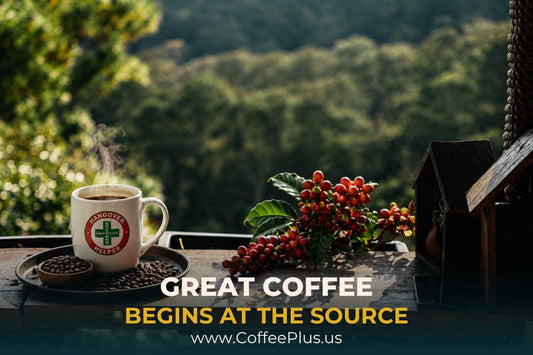 What Makes Sulawesi Coffee So Special? - The Origin Behind Every Cup